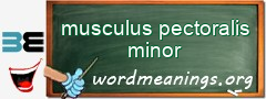 WordMeaning blackboard for musculus pectoralis minor